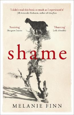 Finn, Melanie BARGAIN FICTION PAPERBACK New Melanie Finn: Shame [2016] paperback