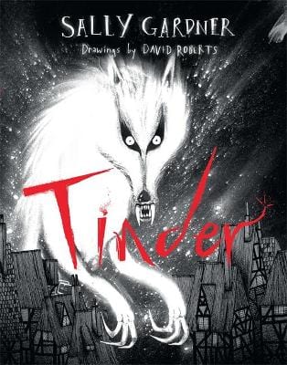 Gardner, Sally & Roberts, David BARGAIN CHILDRENS TEEN FICTION New Sally Gardner: Tinder [2014] hardback