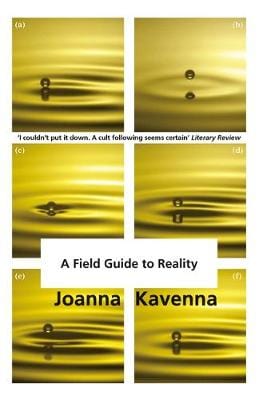 Kavenna, Joanna & Ralfe, Oly BARGAIN FICTION PAPERBACK Joanna Kavenna: A Field Guide to Reality [2017] paperback
