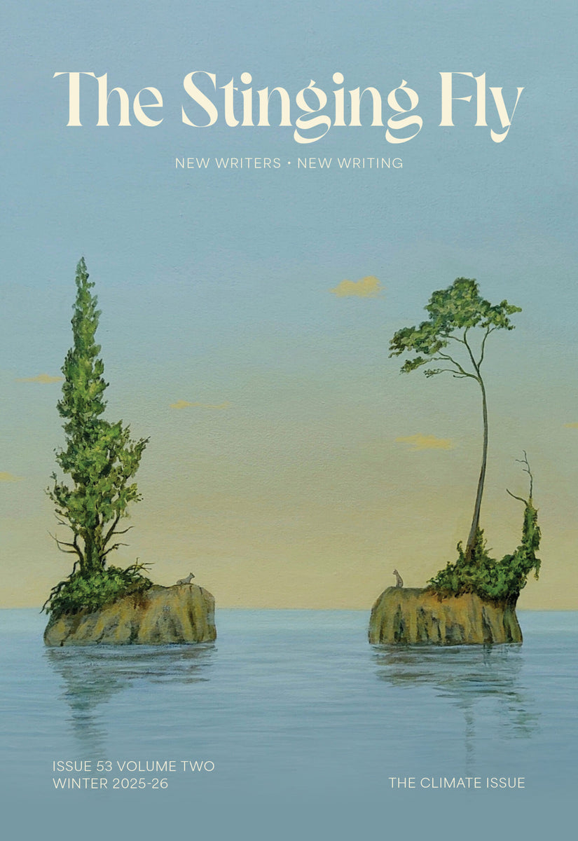 The Stinging Fly: Issue 53 Volume Two Winter 2025-26 – Chapters Bookstore