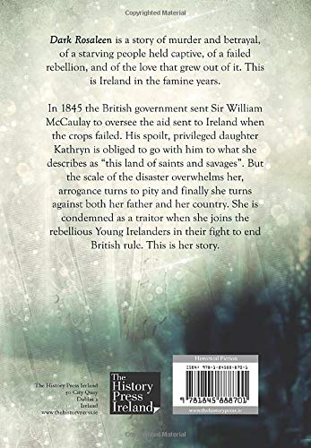 Nicholson, Michael BARGAIN FICTION HARDBACK New Michael Nicholson: Dark Rosaleen [2015] paperback
