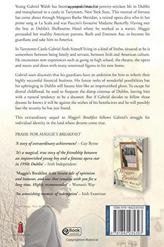 Walsh, Gabriel BARGAIN IRISH BIOGRAPHY Gabriel Walsh: I Dream Alone [2013] paperback