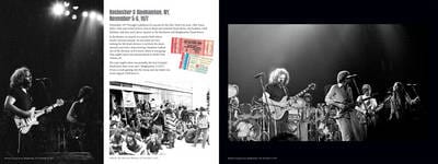 Steve Parish: Live Dead [2014] hardback – Chapters Bookstore